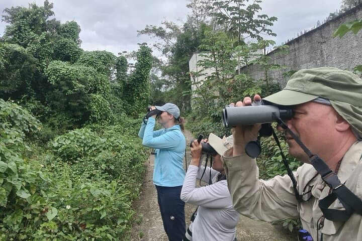 Dawn Birdwatching Tour on Cozumel: Guide to Species, Sites, and Logistics photo 2