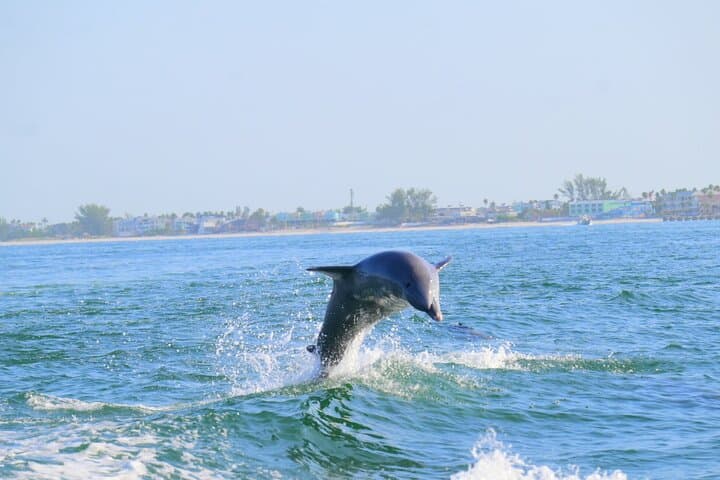 Private 12-Passenger Sunset Cruise on Anna Maria Island photo 4