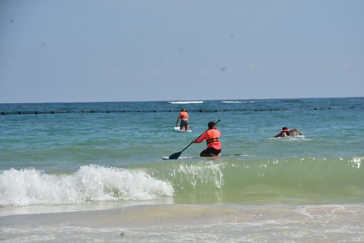 Glide Tulum: Stand-Up Paddle Tour Through Mangroves & Coastal Reefs photo 2