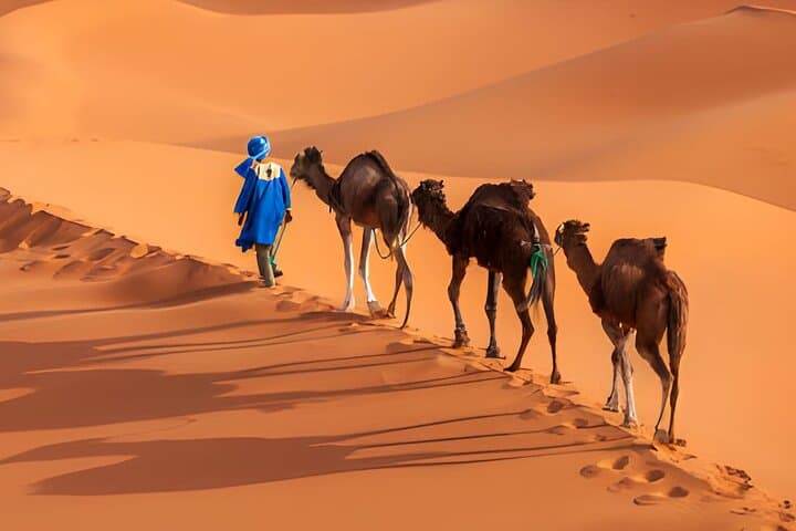 3-Day Private Marrakech to Merzouga Desert Tour — Erg Chebbi, Gorges & Kasbahs photo 1