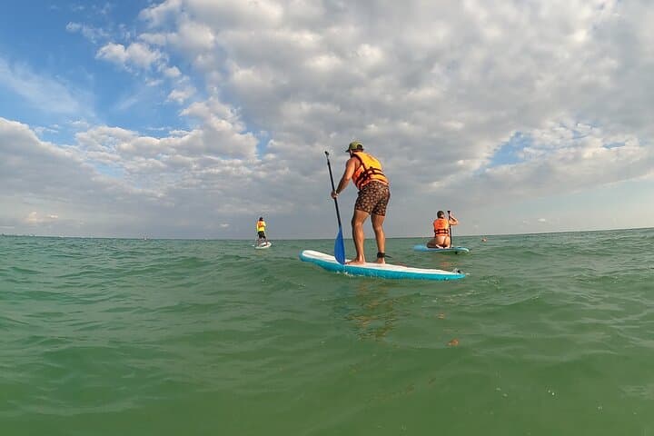 Glide Tulum: Stand-Up Paddle Tour Through Mangroves & Coastal Reefs photo 4
