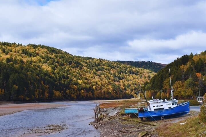 Private Shore Excursion: Bay of Fundy & Saint John Coastal Highlights photo 4