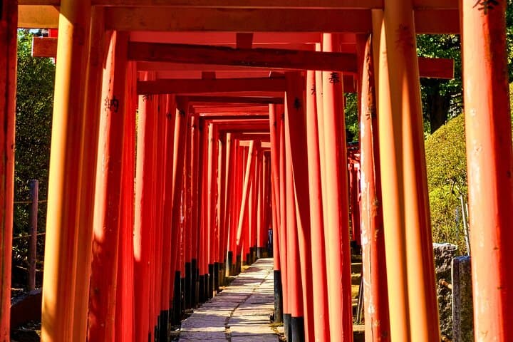 Yanaka & Nezu: Old-Town Walking Tour Through Tokyo’s Temples and Streets photo 2