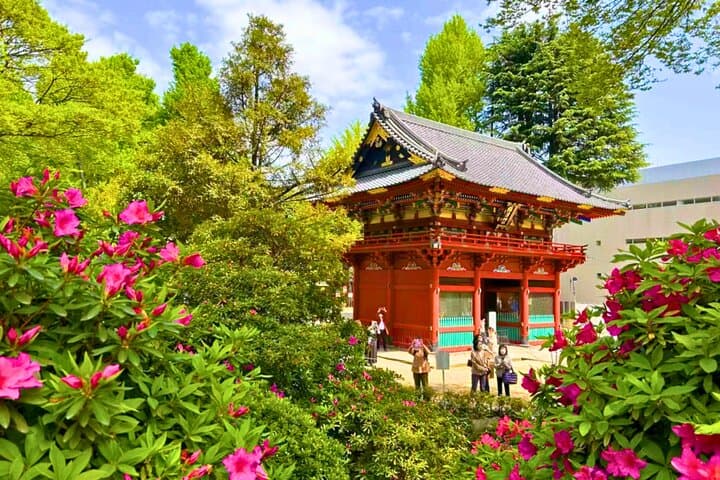 Yanaka & Nezu: Old-Town Walking Tour Through Tokyo’s Temples and Streets photo 5