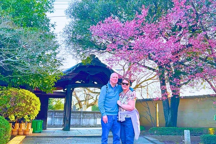 Yanaka & Nezu: Old-Town Walking Tour Through Tokyo’s Temples and Streets photo 6