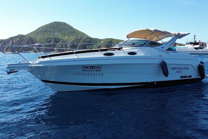 Private Yacht Experience in Cabo San Lucas — Snorkel, Sunset & Whale Watching photo 5