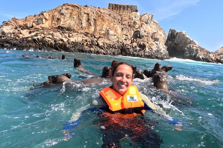 Swim with Sea Lions at Palomino Islands: Lima Yacht Wildlife Tour photo 2