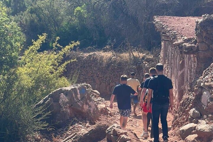 Paradise Valley Day Trip from Agadir — Atlas Mountains Pools & Views photo 4