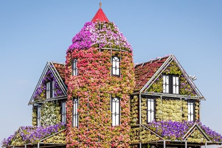 Dubai Wonder Trio: Miracle Garden, The Palm View & Dubai Frame Pass