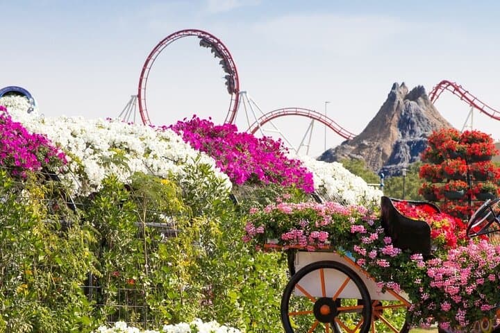 Dubai Wonder Trio: Miracle Garden, The Palm View & Dubai Frame Pass photo 2