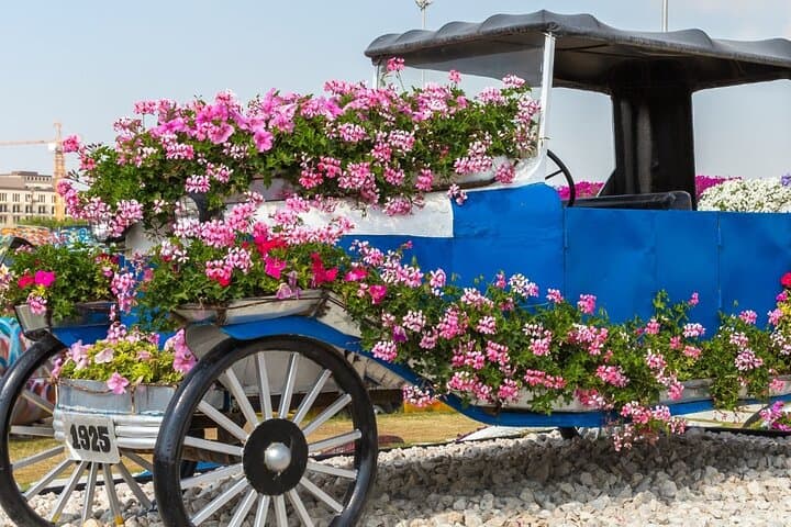 Dubai Wonder Trio: Miracle Garden, The Palm View & Dubai Frame Pass photo 4