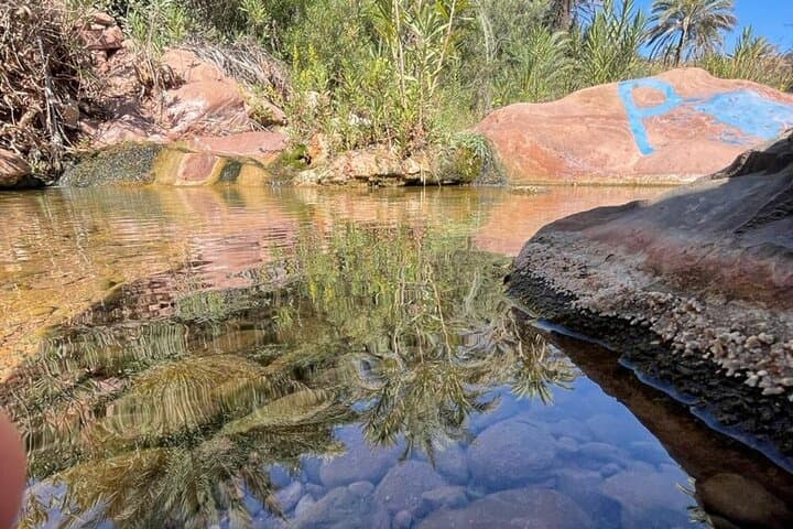 Paradise Valley Day Trip from Agadir — Atlas Mountains Pools & Views photo 6