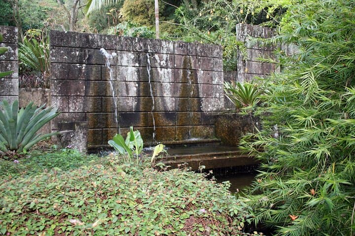 Guided Visit to Roberto Burle Marx Site — Gardens, Art & History Near Rio photo 2