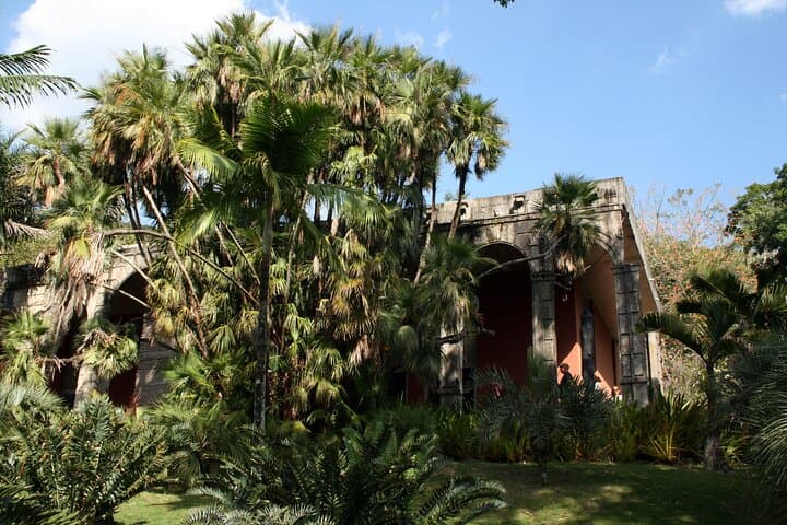 Guided Visit to Roberto Burle Marx Site — Gardens, Art & History Near Rio photo 4