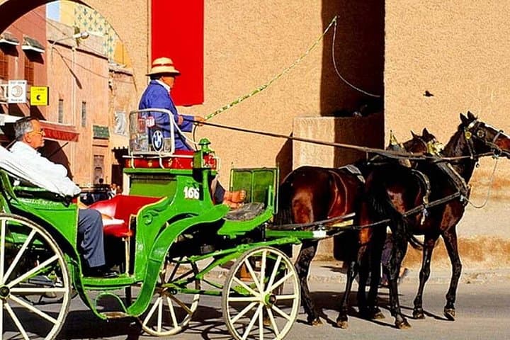 Marrakech Horse Carriage Tour: Guided Medina & Koutoubia Sights in One Hour photo 1
