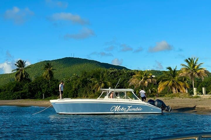 Private Power Catamaran Charter in Saint Kitts and Nevis: Snorkel, Beach & Coastal Cruise photo 1