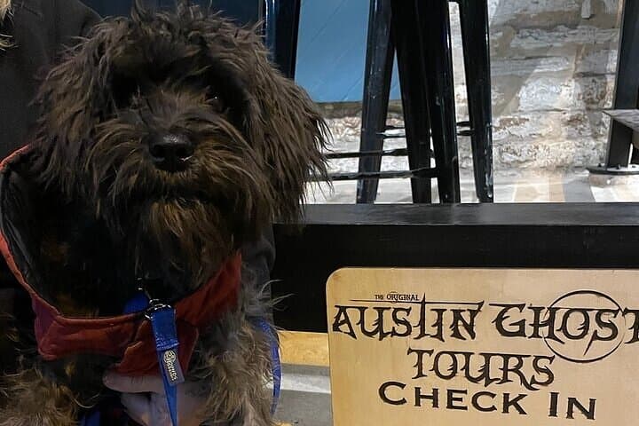 After-Hours in Austin: Original Austin Ghost Tours Through Downtown Haunts photo 5