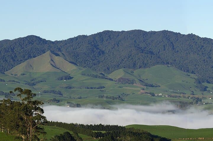 Hamilton Gardens and Sanctuary Mountain Ancient Forest: Full-Day Guided Tour photo 3
