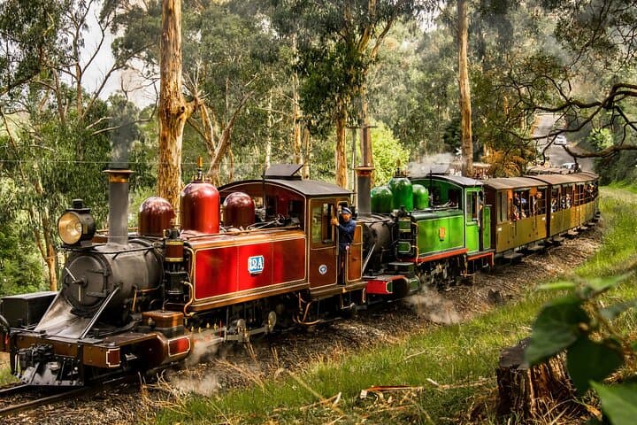 Puffing Billy Steam Train, Redwoods Walk and Yarra Valley Day Tour