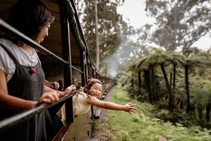 Puffing Billy Steam Train, Redwoods Walk and Yarra Valley Day Tour photo 2