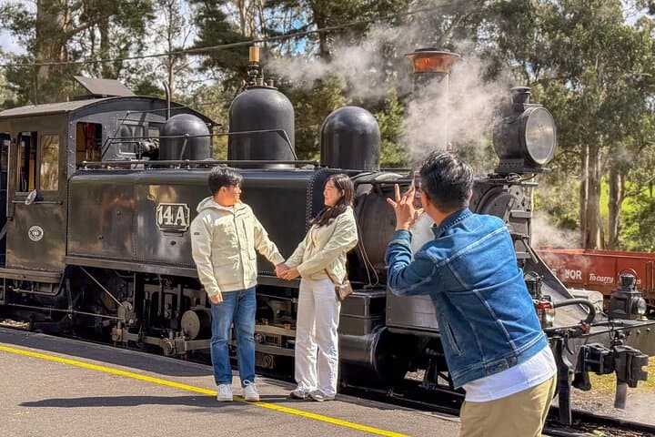 Puffing Billy Steam Train, Redwoods Walk and Yarra Valley Day Tour photo 3