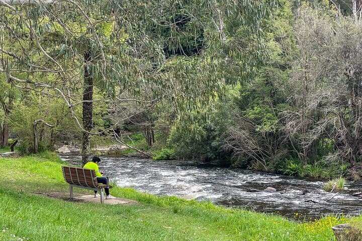 Puffing Billy Steam Train, Redwoods Walk and Yarra Valley Day Tour photo 6