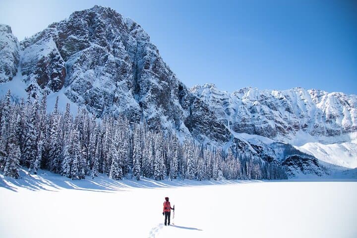 Winter Full-Day Banff & Icefields Parkway Private Tour photo 2