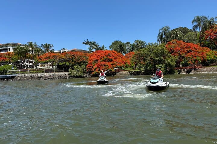 Brisbane River Jet Ski Tour: 70-Minute Skyline Rush from Breakfast Creek photo 6