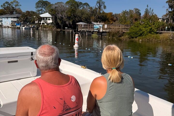 Crystal River Manatee and Wildlife Boat Tour — Eco-Friendly Sightseeing in Kings Bay photo 3