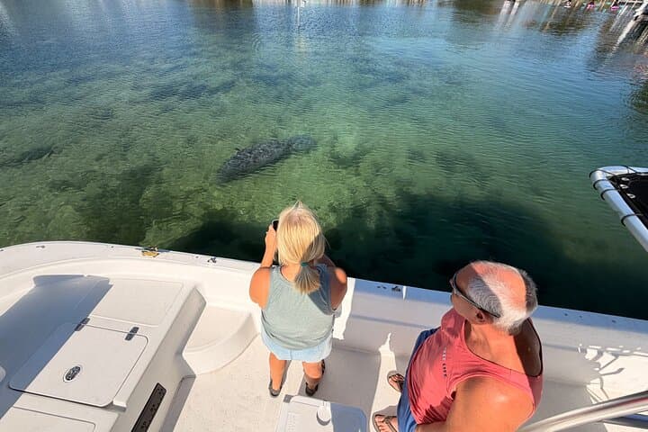 Crystal River Manatee and Wildlife Boat Tour — Eco-Friendly Sightseeing in Kings Bay photo 4