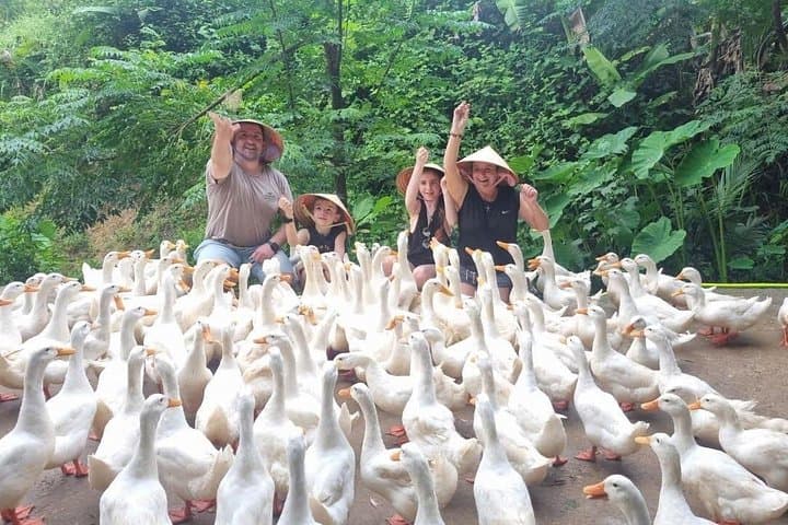Paradise Cave & Phong Nha Cave Day Trip with Duck Farm from Dong Hoi photo 4