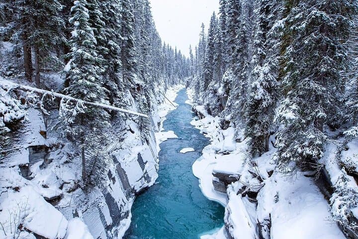 Winter Abraham Bubble Lake & Icefields Parkway Private Tour — Photo-Focused Day Trip from Canmore photo 5