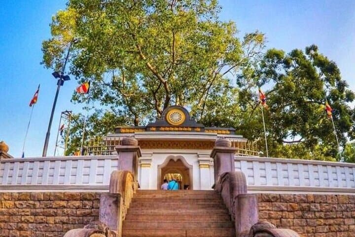 Anuradhapura to Wilpattu: Private Day Tour from Dambulla — Ancient Temples and Leopard Safari photo 3