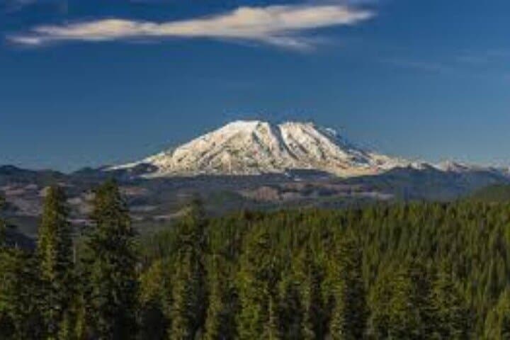 Small-Group Mount St. Helens Day Tour from Seattle: Johnston Ridge & Coldwater Lake photo 6