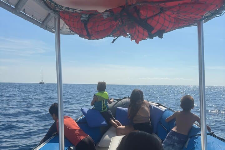 Double Reef Snorkel and Dolphin Watch — Kona Guided Reef Tour