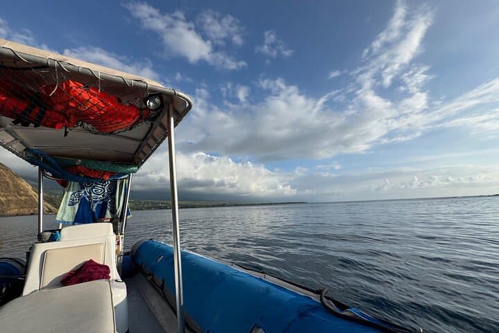 Double Reef Snorkel and Dolphin Watch — Kona Guided Reef Tour photo 2