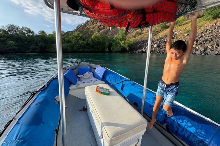 Double Reef Snorkel and Dolphin Watch — Kona Guided Reef Tour photo 3