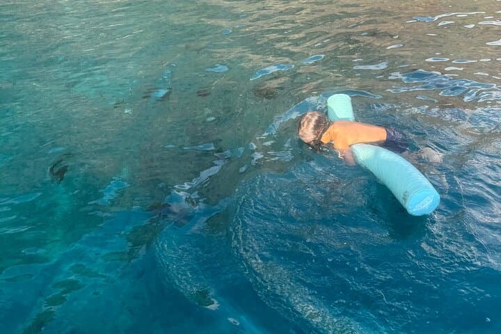 Double Reef Snorkel and Dolphin Watch — Kona Guided Reef Tour photo 4