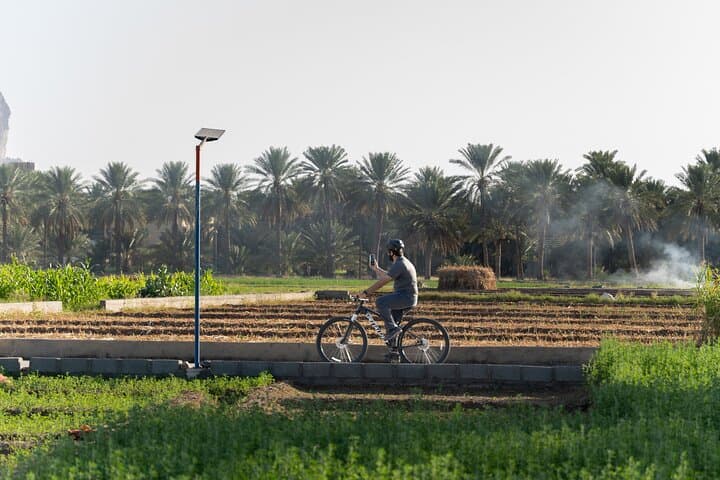 Al Hamra Cycling Tour: Falaj Farms & Old Town Ride (2-Hour) photo 3