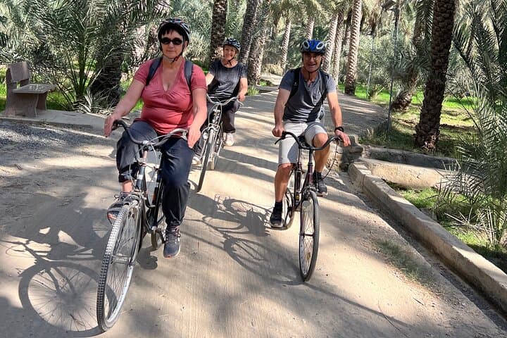 Al Hamra Cycling Tour: Falaj Farms & Old Town Ride (2-Hour)