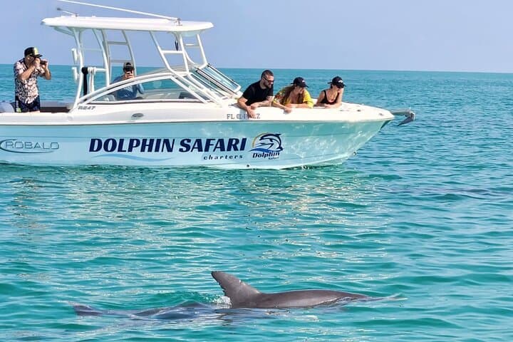 Key West Small-Group Dolphin Watching & Snorkeling: Sandbars, Backcountry Reefs, and Calm Water photo 2