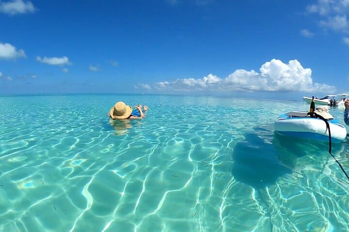 Private Key West Dolphin & Sandbar Charter — Snorkel Pristine Reefs and Playful Dolphins photo 4