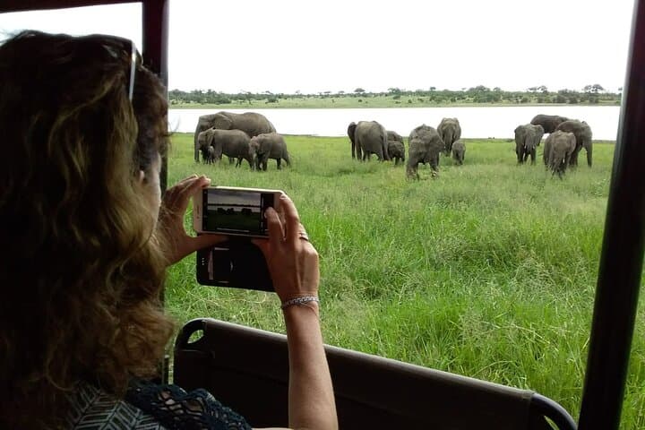 6-Day Kruger Safari & Community Service: Big Five Game Drives and Village Immersion