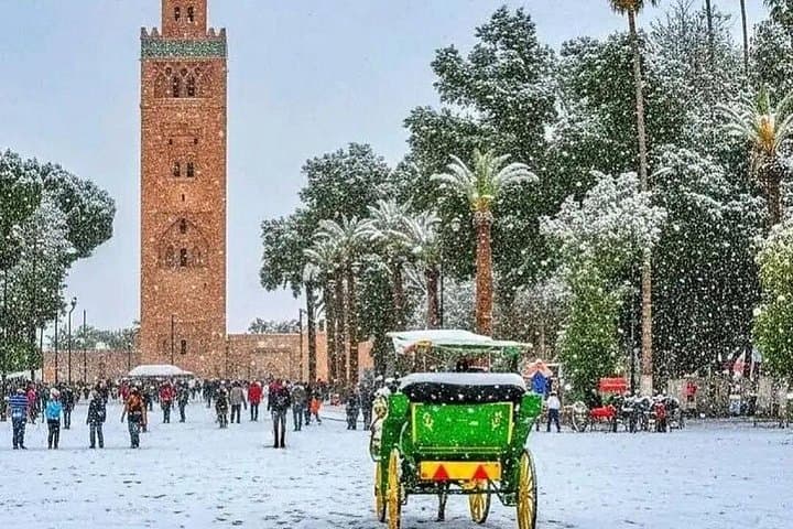 Marrakech Horse Carriage Tour: Guided Medina & Koutoubia Sights in One Hour photo 3