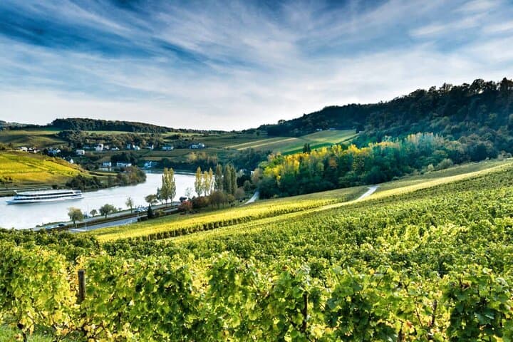 Schengen Wine, Moselle Views & Beaufort Castle: Private Luxury Day Tour photo 4