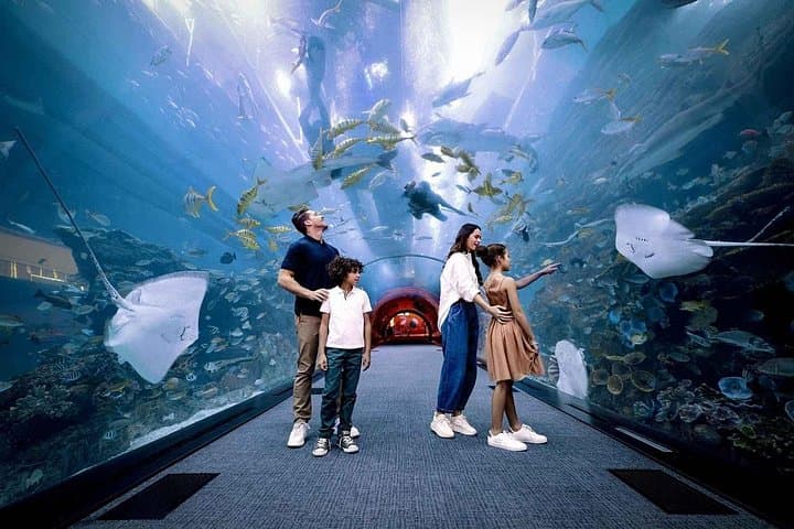 Dubai Mall Double Play: House of Hype + Dubai Aquarium Access Pass photo 3