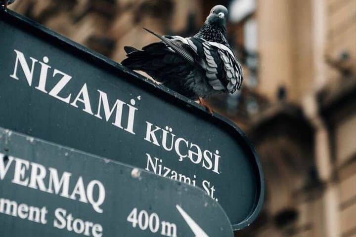 Baku to Gabala: 5-Day Top Wonders Tour — Fire Temples, Mountain Cable Cars & Old City Walks photo 6
