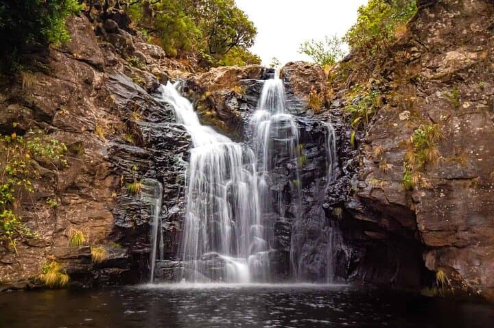 Levada do Alecrim Walk: Explore Madeira’s Laurissilva Forest