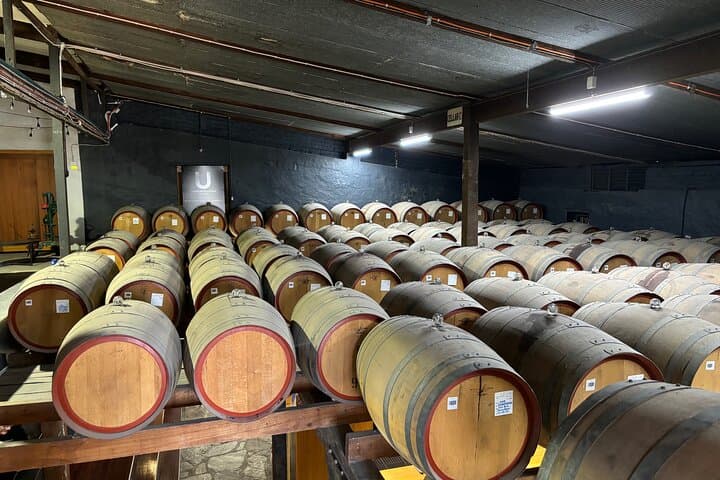 Private Half-Day Barossa Valley Luxury Wine Tour from Adelaide photo 4