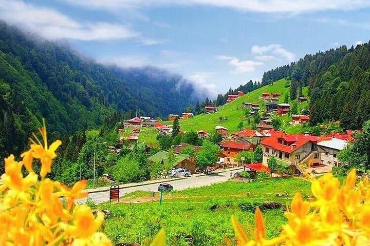 Ayder Plateau Private Day Tour — Fırtına Valley Waterfalls & Stone Bridges